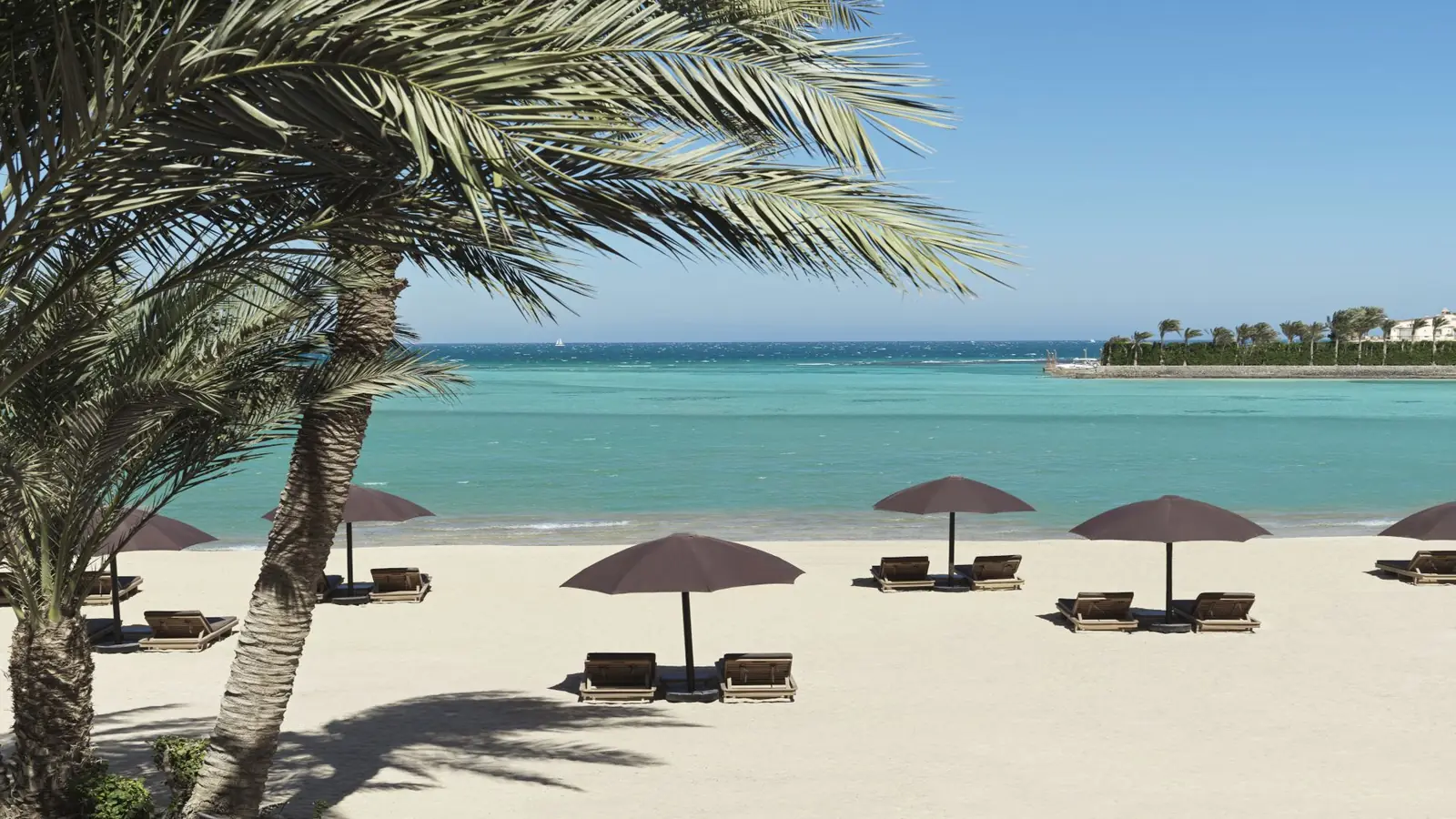 Quiet beach in El Gouna with a palm tree and parasols