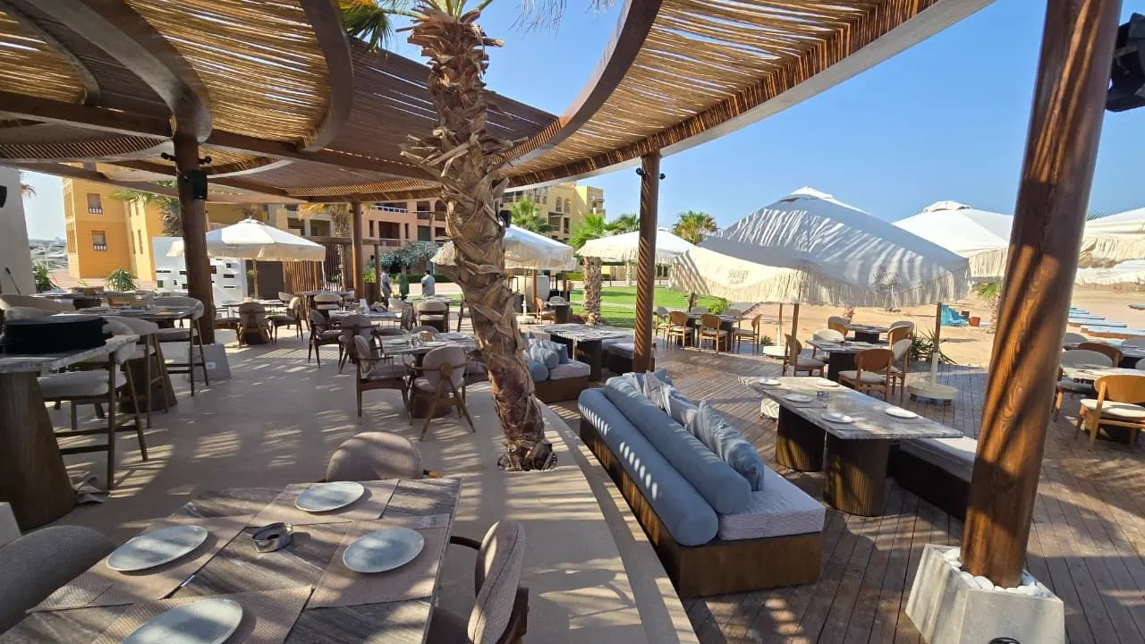 Curved wooden pergola, palm tree and lounge seating at The Smokery Beach